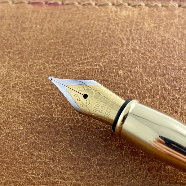 Plume IPG pour stylo plume Déclinaisons